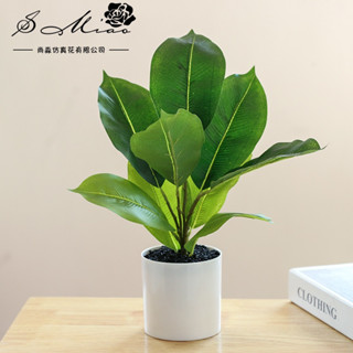 Chậu cây cảnh hình trụ bằng nhựa để bàn, chậu hoa nhân tạo, cây cảnh, cây nhựa, trang trí nội thất