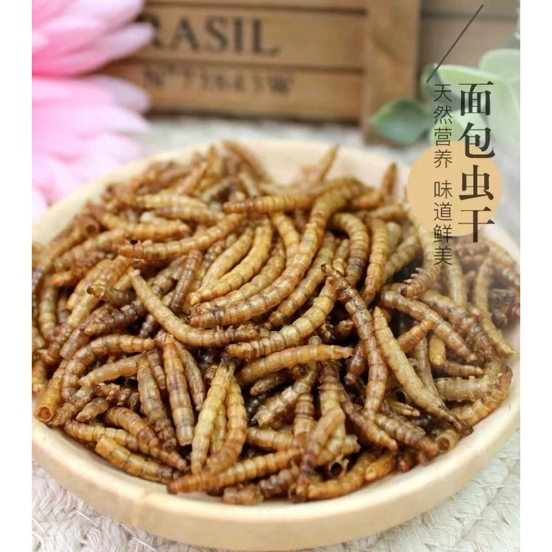 Sâu rang cỡ rung cho Hámter 30g