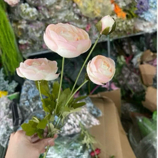 Hoa giả/ Hoa mao lương 1 cành 4 bông dài 60 cm, hàng loại 1 bông to 6cm