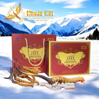 Viên nang Đông Trùng Hạ Thảo và phục linh nhãn hiệu Nhuận Chi