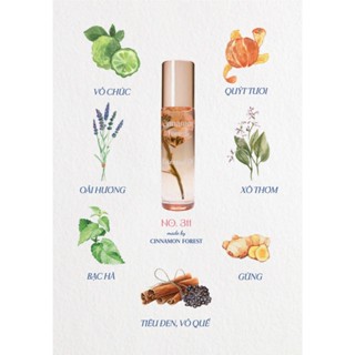 Chanh Chúc - Chúc - Cinnamon Forest - Tinh dầu thảo dược 311 - Dầu hoa thảo dược 311 - Dầu 311 - 311