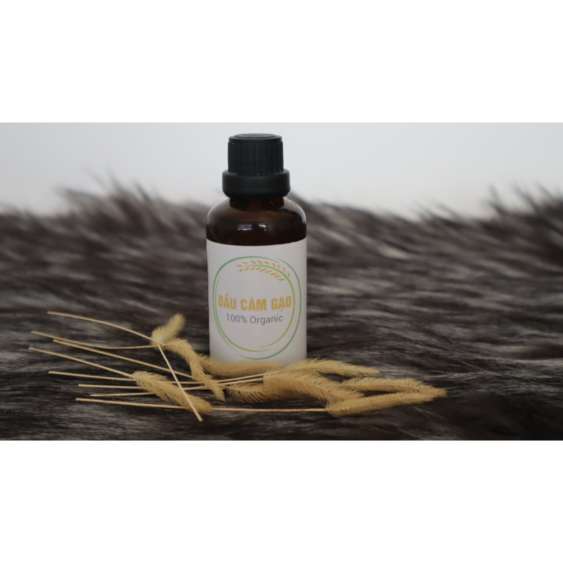 Dầu cám gạo (Rice Bran Oil) - 15ml/ 50ml/ 100ml  - Nguyên liệu làm son môi, Nguyên liệu làm mỹ phẩm