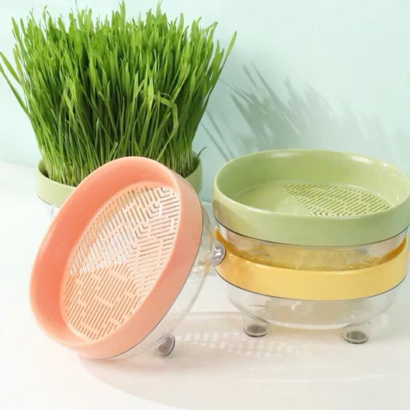 [Freeship] Bộ kit hộp trồng cỏ mèo tại nhà tiện lợi cho mèo cưng chỉ cần tưới nước