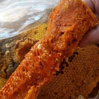 Mật ong phấn hoa rừng
