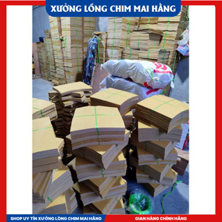  10KG Giấy Lót Lồng Chim Chào Mào - Đủ Loại size Cho Lồng Chim Cảnh 