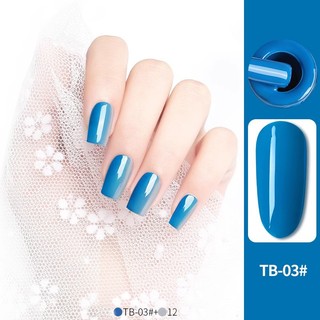 Sơn gel AS lẻ 6 màu Blue TB