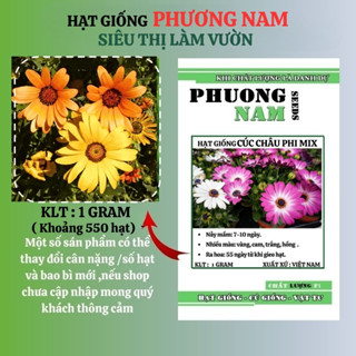 1 GRAM - HẠT GIỐNG HOA CÚC CHÂU PHI MIX PHƯƠNG NAM