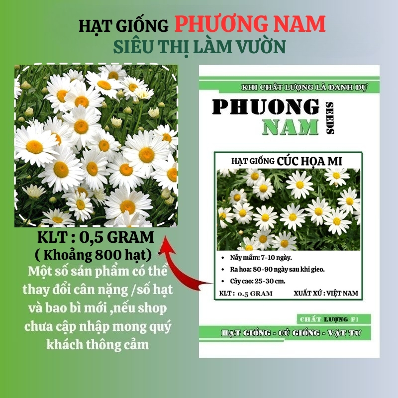 0,5 Gram - Hạt Giống Hoa Cúc Họa Mi Phương Nam