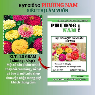 50 HẠT - HẠT GIỐNG HOA CÚC LÁ NHÁM KÉP MIX PHƯƠNG NAM