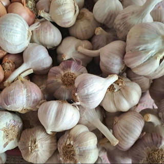   1kg  Tỏi bắc ta khô kinh môn hải dương thơm ngon  1kg  
