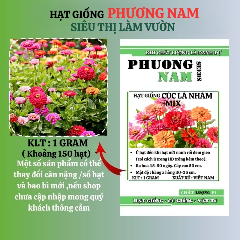 1 Gram - Hạt Giống Hoa Cúc Lá Nhám Mix Phương Nam