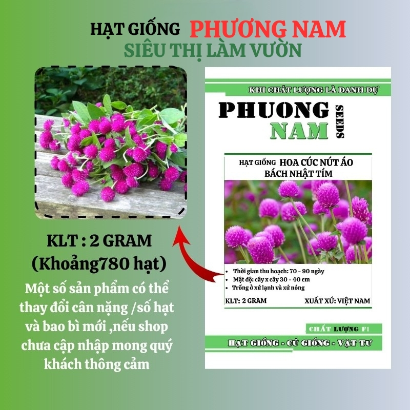 1 Gram - Hạt Giống Hoa Cúc Nút Áo (Bách Nhật)Tím Phương Nam