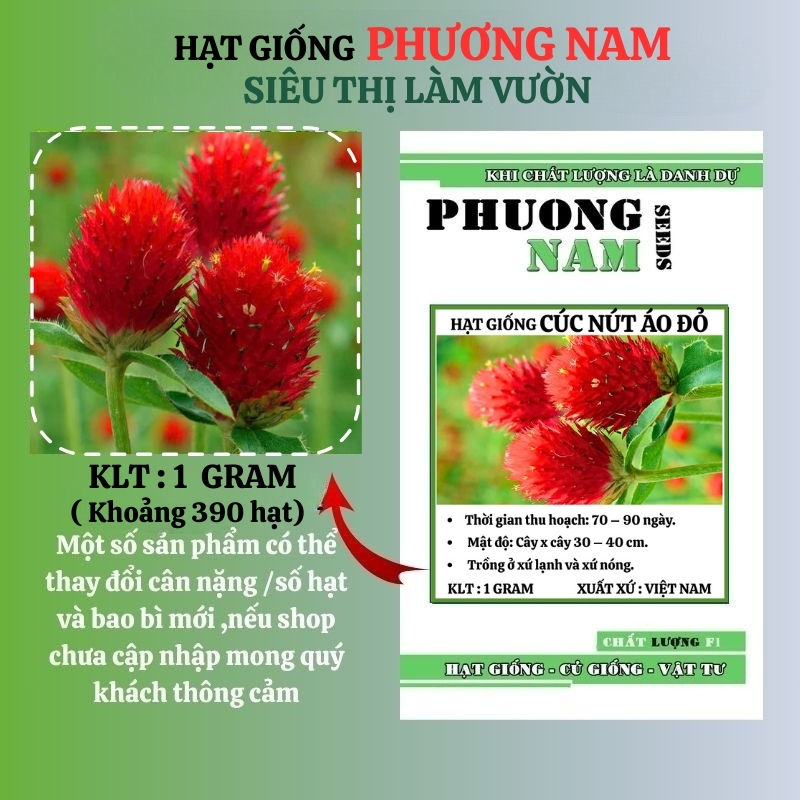 1 Gram - Hạt Giống Hoa Cúc Nút Áo (Bách Nhật) Đỏ Phương Nam
