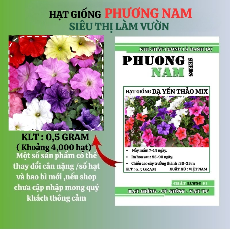 Hạt Giống Hoa Dạ Yến Thảo  Phương Nam