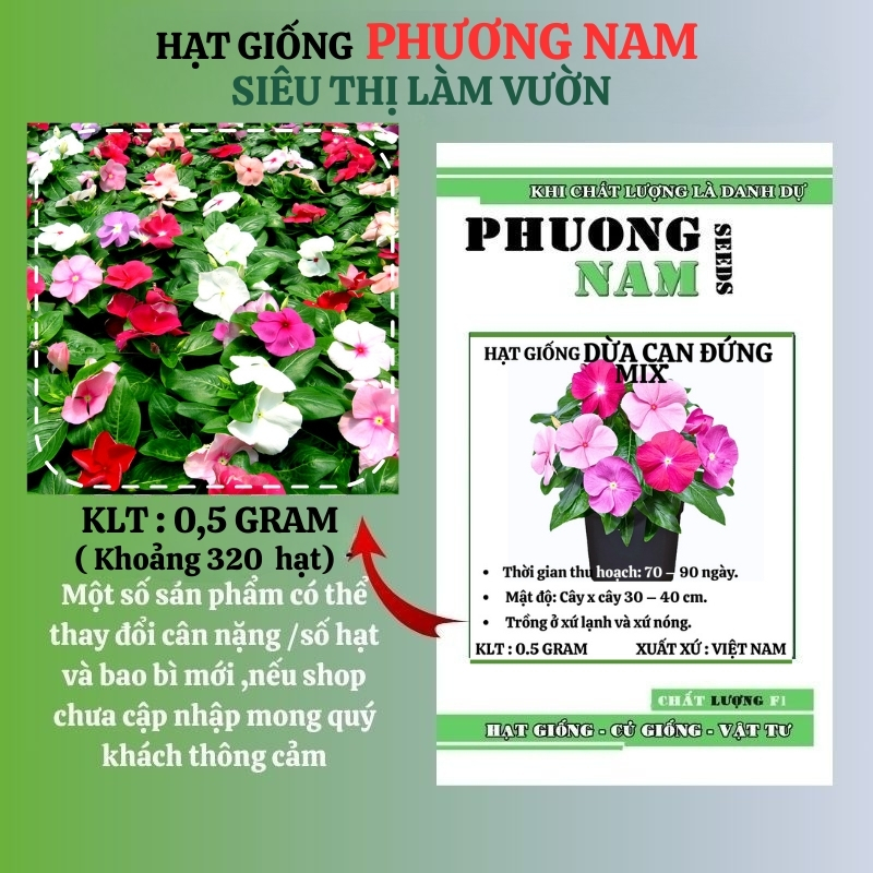 Hạt Giống Hoa Dừa Cạn Đứng Mix Phương Nam