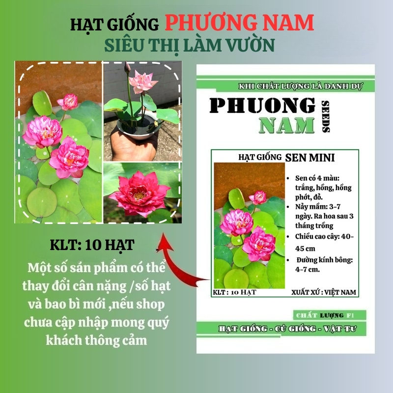 10 Hạt - Hạt Giống Hoa Sen Mini Nhật Mix Phương Nam