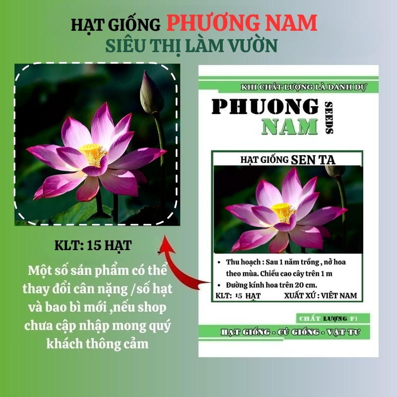 15 Hạt - Hạt Giống Sen Ta Phương Nam