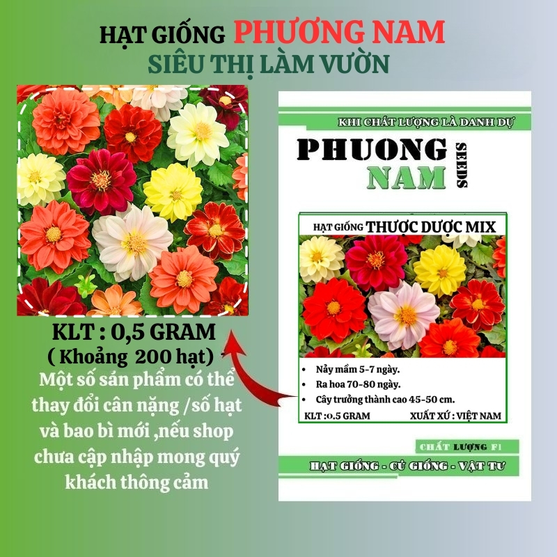 0,5 Gram - Hạt Giống Hoa Thược Dược Cao Lỡ Mix Phương Nam