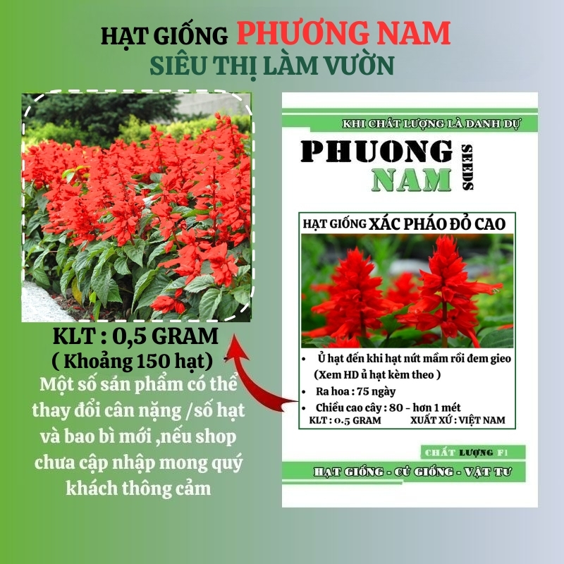 0,5 Gram - Hạt Giống Hoa Xác Pháo Đỏ Phương Nam