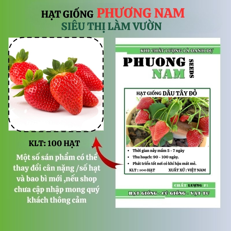 100 Hạt - Hạt Giống Dâu Tây Đỏ Phương Nam