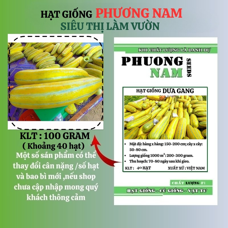 100 Gram ≈ 6000 Hạt - Hạt Giống Dưa Gang Phương Nam