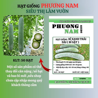 50 hạt - hạt giống bí xanh trái dài phương nam