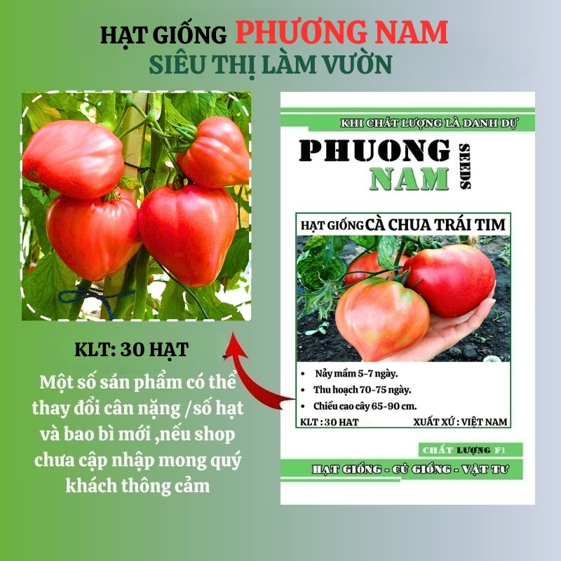 30 Hạt - Hạt Giống Cà Chua Trái Tim Đỏ Phương Nam