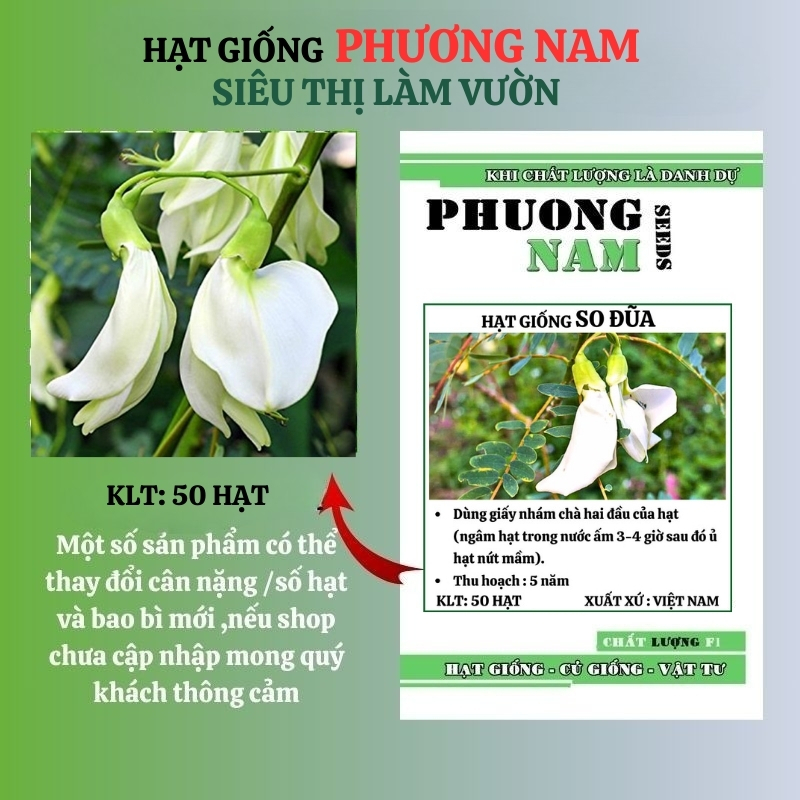 50 Hạt - Hạt Giống So Đũa Phương Nam