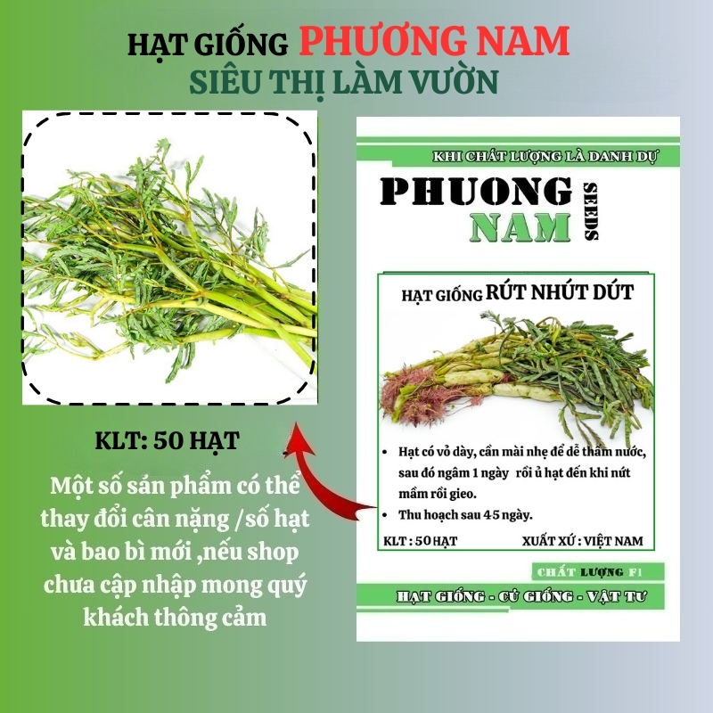 50 Hạt - Hạt Giống Rau Rút Dút Phương Nam
