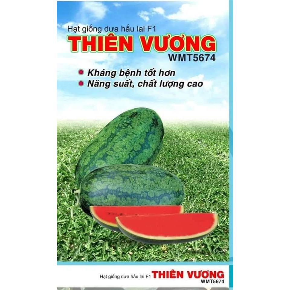 Hạt giống dưa hấu lai F1 Thiên Vương Sygenta gói 20 gram trái to