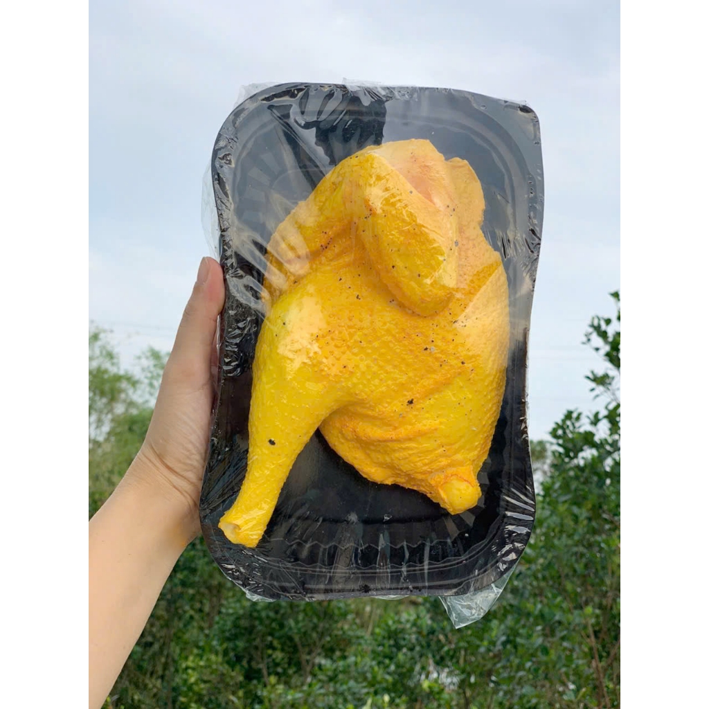 Mô hình gà ủ muối tiêu. Gà ủ muối tiêu bằng nhựa tỉ lệ thực.