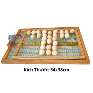 Khay Đảo 50 Trứng Tự Động, Khung Gỗ Chắc Chắn Đảo Lăn Đều Giúp Trứng Dễ Nở, Tỷ Lệ Cao Trên 95%.