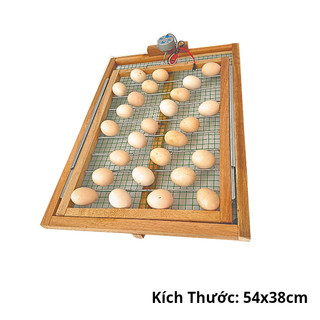 Khay Đảo 50 Trứng Tự Động, Khung Gỗ Chắc Chắn Đảo Lăn Đều Giúp Trứng Dễ Nở, Tỷ Lệ Cao Trên 95%.