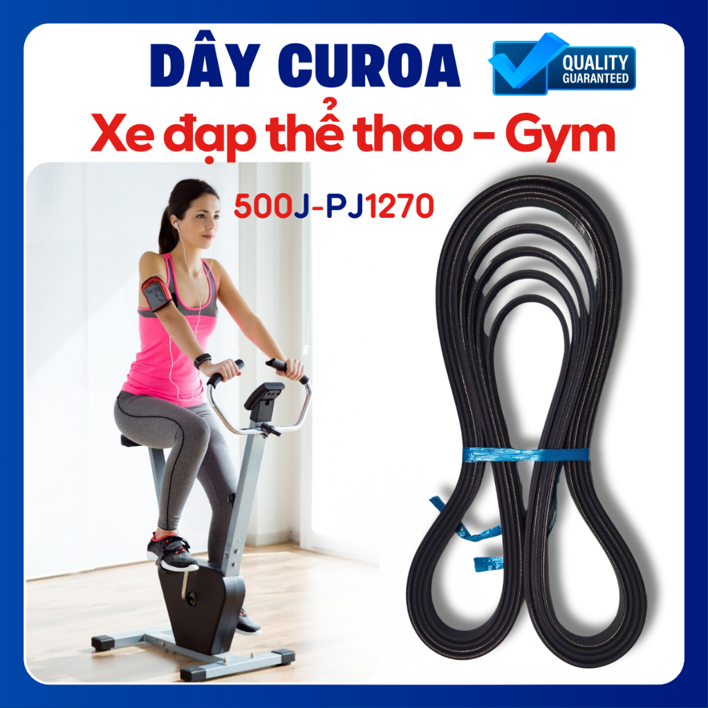 Dây curoa xe đạp tập Gym 500J/PJ1270 (6 đỉnh và 5 rãnh)