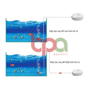 VAN 1 CHIỀU NHỰA - CHẶN NƯỚC CHỐNG TRÀO NGƯỢC VÀO BÌNH CO2 VÀ OXY O2