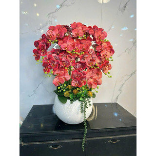 hoa lan đẹp- HOA GIẢ,HOA LỤA Lan cao su 9 bông