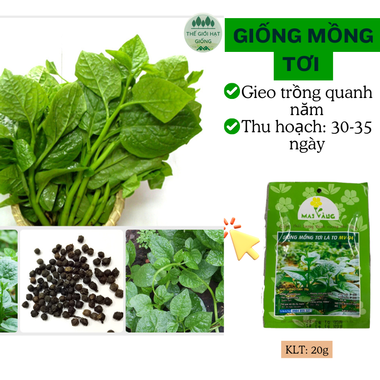 [Gói 20gr] Hạt giống Rau Mồng tơi lá lớn
