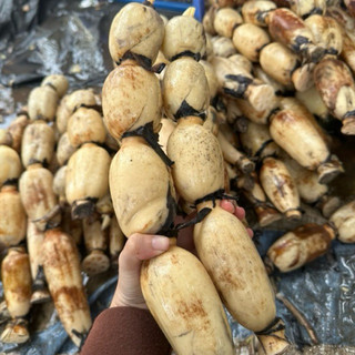 Củ Sen Giòn Ngọt Gói-1KG-Size 4 Củ