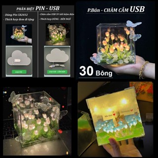 (TÚI QUÀ + CHARM) Hộp đèn Hoa Tulip tráng gương 12cm, Đèn ngủ tuylip tình yêu HANDMADE DIY tặng người yêu sinh nhật