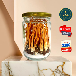 Đông Trùng Hạ Thảo Ancordy SilkNest, Kí Chủ Nhộng Tằm, Số Lượng Nấm Đông Trùng Sấy Khô Là 40 Con/Lọ