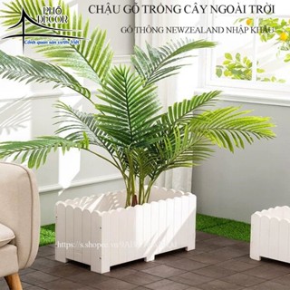  Chậu hàng rào chữ nhật trồng cây bằng gỗ Thông nhập khẩu chậu hàng rào biệt thự sân vườn hàng rào quán cafe 