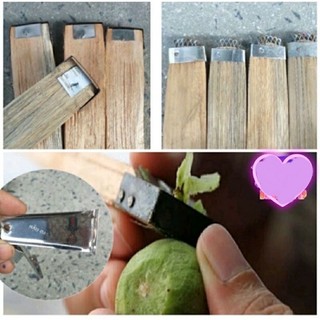 #GIÁ SỐC# Dụng cụ nạo sấu inox siêu sắc bén-nạo dừa, nạo vỏ, nạo sấu tay cầm gỗ -Nạo vỏ kèm sợi to truyền thống-ảnh thật