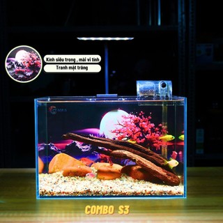  Bể Cá Mini SIÊU TRONG 30x18x20cm Hàng Nhập Cao Cấp Kính Trắng Siêu Trong Đường Keo  Đẹp 