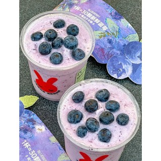 Siro Việt Quất Boduo (2 Lít)