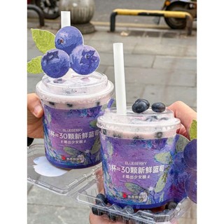 Siro Việt Quất Boduo (2 Lít)