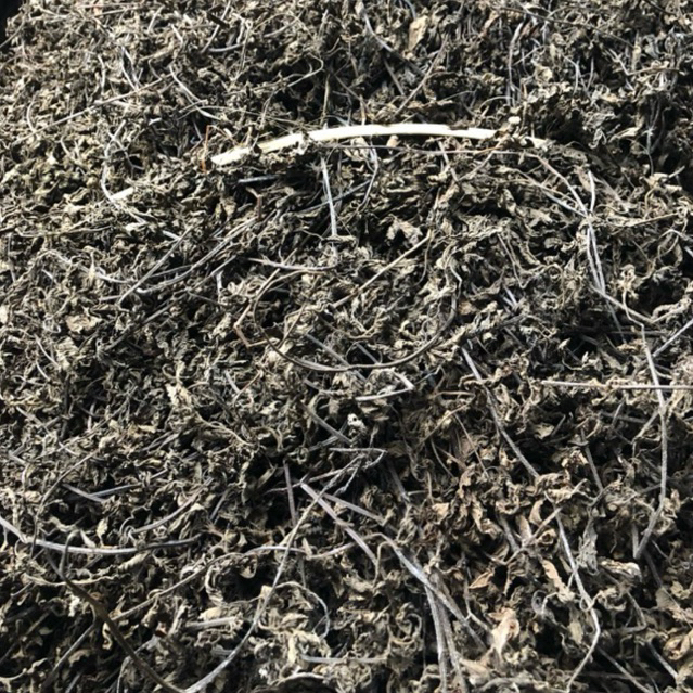 CÂY THẠCH ĐEN CAO BẰNG 500g  (Thạch nương 100%)