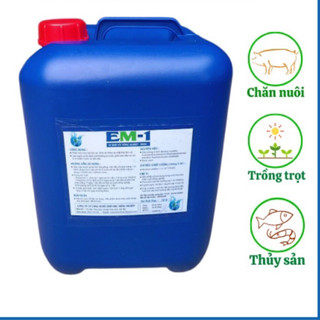 MÂT RỈ ĐƯỜNG CAN 30 kg