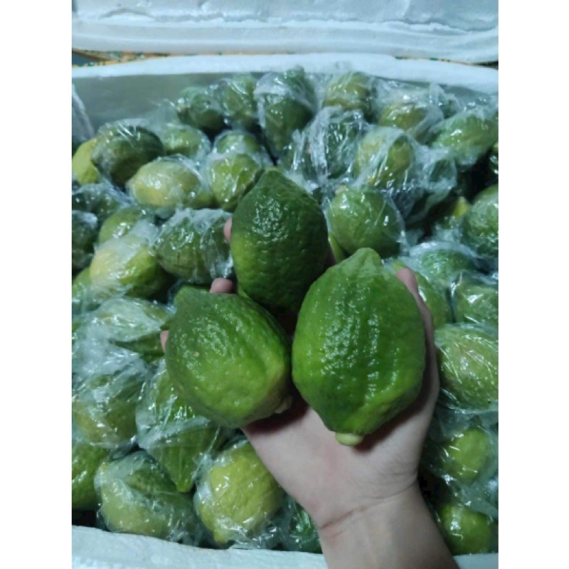 1Kg Chanh Nước Hoa Quảng Đông làm Trà Chanh Giã Tay