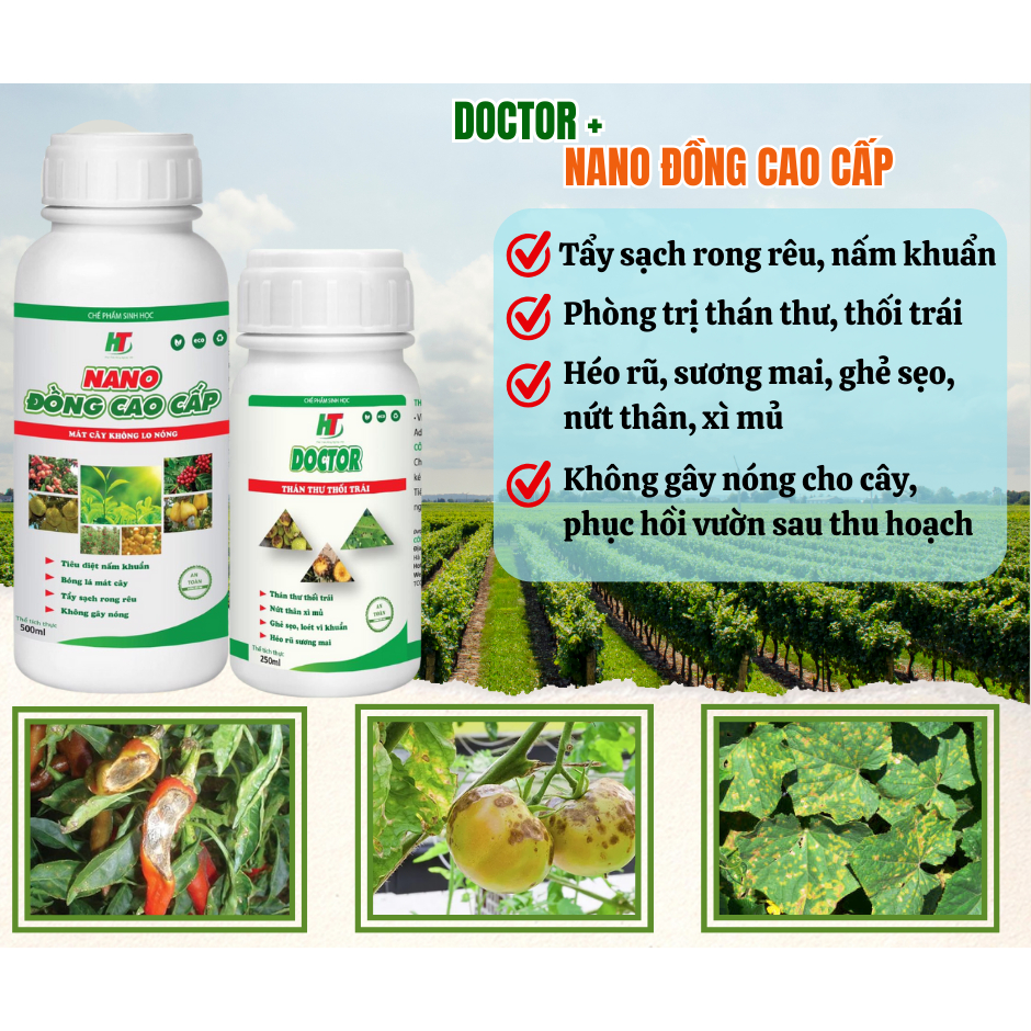 NANO ĐỒNG CAO CẤP VÀ DOCTOR chuyên thán thư,đốm lá, đốm trái, sương mai, ghỉ sắt_NÔNG NGHIỆP HT