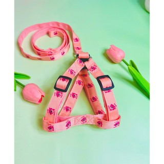 Dây dẫn chó - Dây dắt chó poodle
